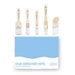 5 piece best of zibra paintbrush kit