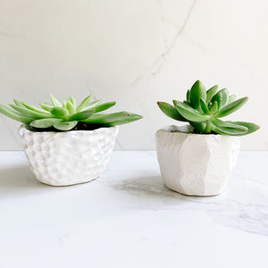 Clay Pots