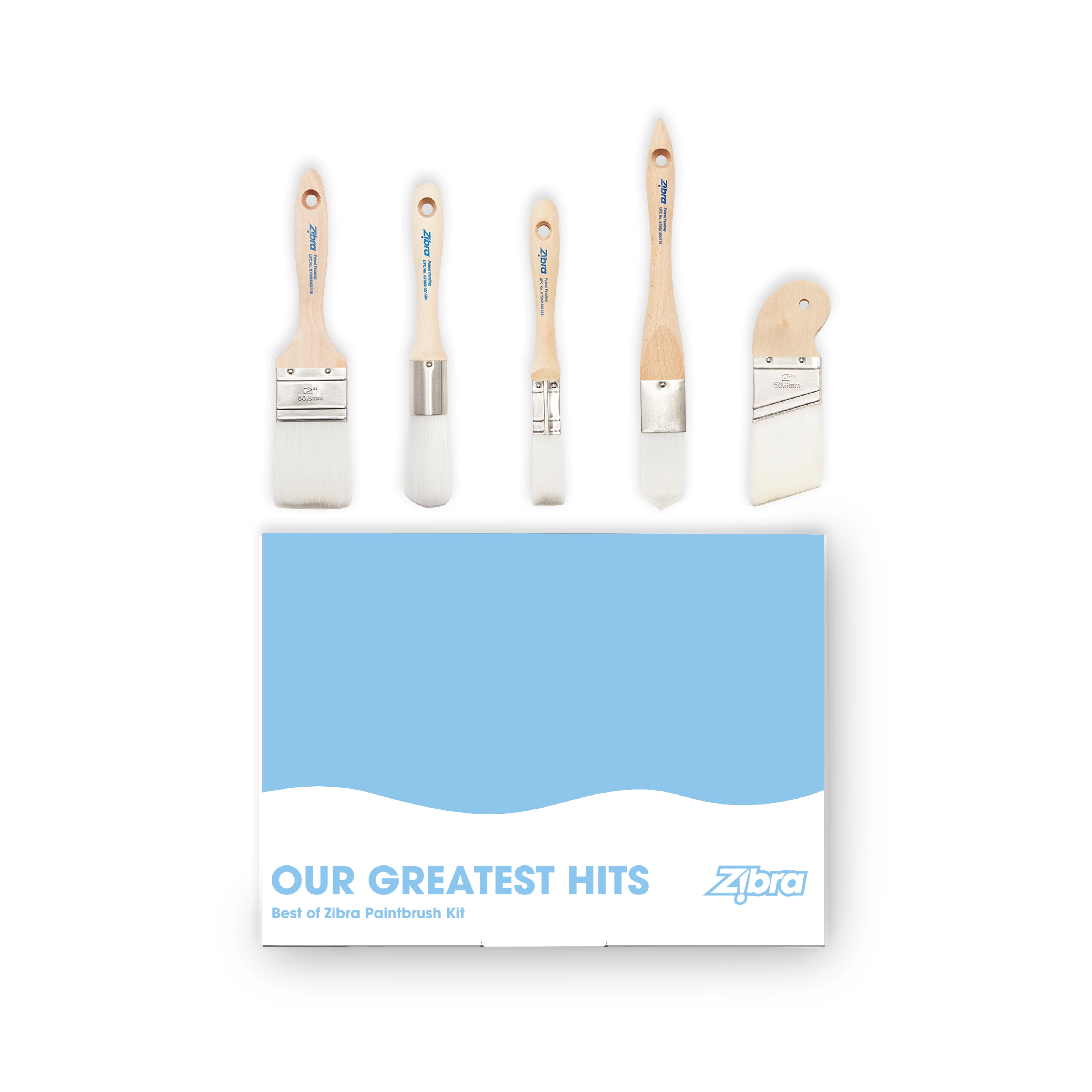 Best of Zibra Paintbrush Kit-5 Piece | Paint Brush Set | Zibra