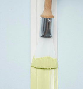 Fan Paintbrush