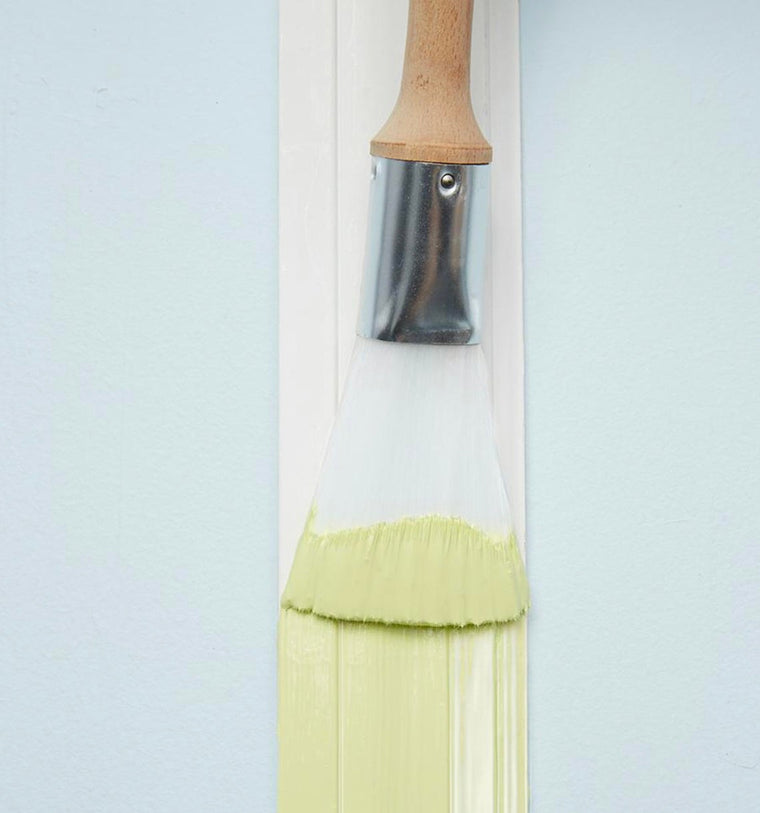 Fan Paintbrush